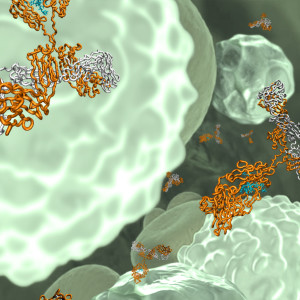 Antibody impression