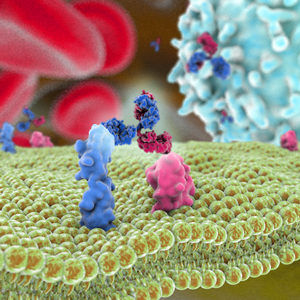 Bispecific antibodies come to the fore - The Antibody Society